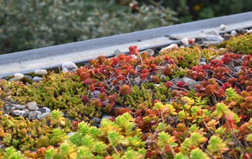 the cost of Weedon Lois green roof installation