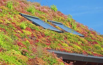 Weedon Lois living roof systems
